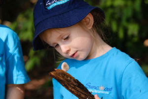 Kindy student examining a fungi on a branch during Bush Kindy at Suncoasst Little Learners