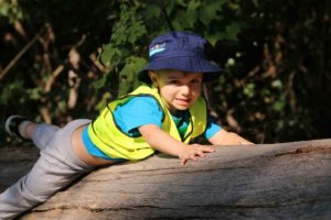 Preschooler climbing a tree log at Bush Kindy Suncoast Little Leaners