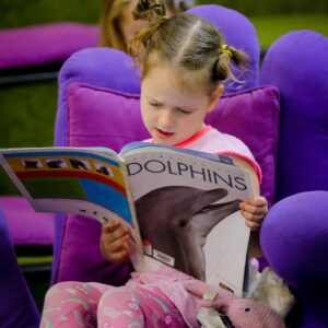 Early learner child reading dolphin book at Suncoast Little Leaners, Woombye